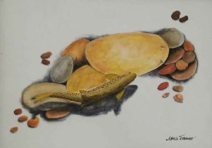 "The Brown Trout"