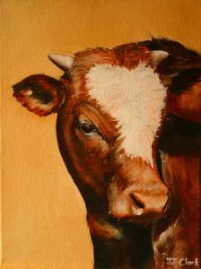 "Nguni Calf - Seuna"