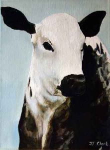 "Nguni Calf - Hestertjie"