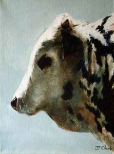 "Nguni Calf - Kosie"