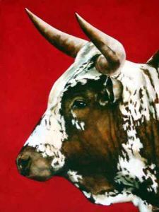 "Nguni - Leonard"