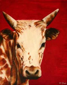 "Nguni - Leonora"