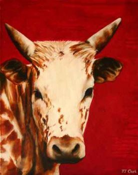 "Nguni - Leonora"