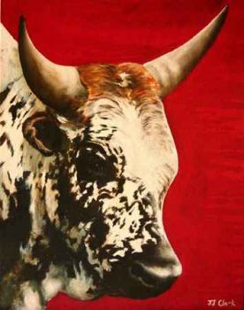 "Nguni - Angus"