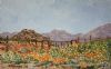 "Farm Entrance Near Springbok"