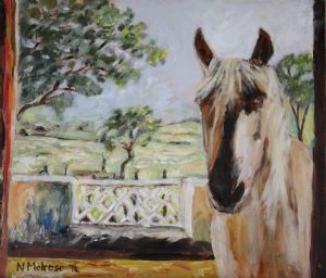 "Curious Palomino"