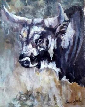 "Nguni Bull"