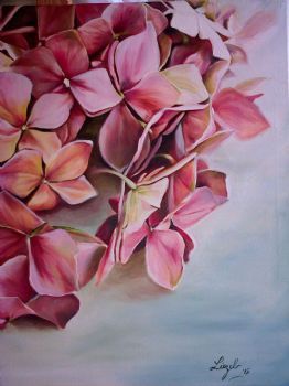 "Pink Pallette - Christmas Roses"