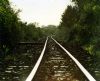 "Railway Line"