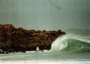 "Wave"