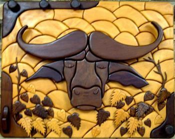 "Cape Buffalo"