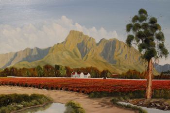 "Boschendal Twist Franchoek ( Sold )"