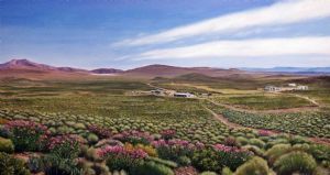 "Farm Near Swellendam"