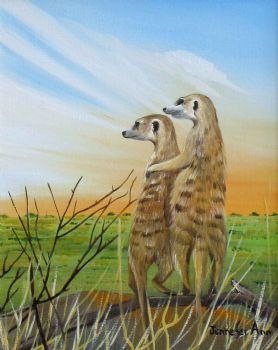 "Love (Meerkats)"