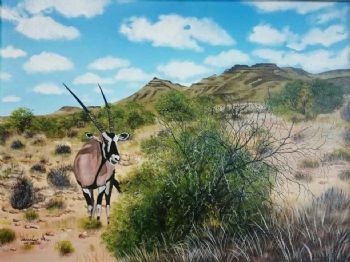 "Lammertjies Leegte (Karoo National Park)"