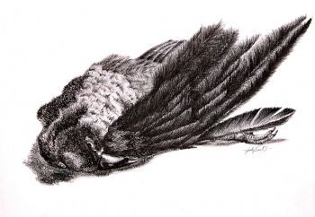"Crow's Feet"