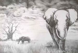 "African Elephant"