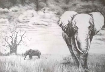 "African Elephant"