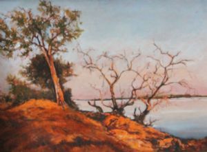 "Sunset in Chobe"