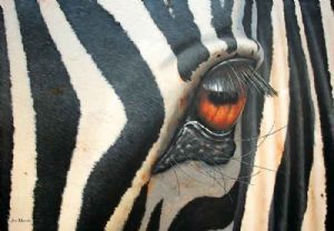 "Zebra Magic"