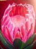 "Protea"