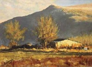 "Golden Hues of Farmyard Outbuildings"