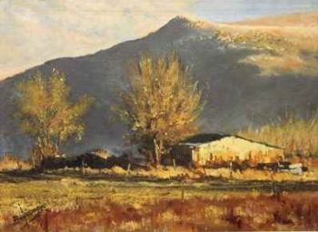 "Golden Hues of Farmyard Outbuildings"
