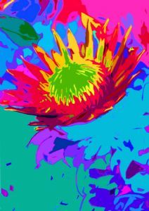 "Protea Flower 1 series 3A - Set 1 of 3"