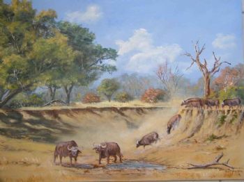 "Dry River Bed Mana Zimbabwe"