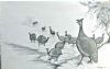"Guineafowl"