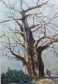"The Mighty Baobab"