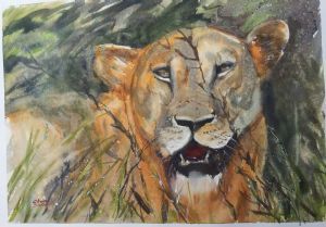 "Lioness"