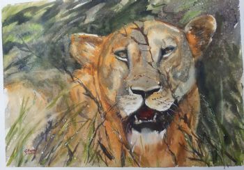 "Lioness"
