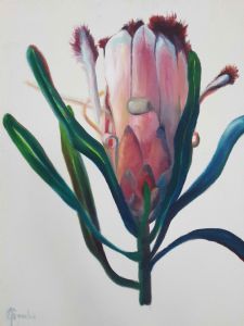 "Protea Glow 1"