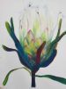 "Protea Glow 3"