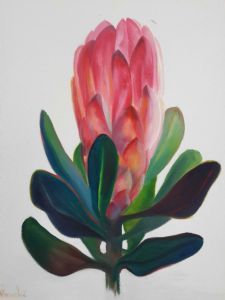"Protea Glow 4"