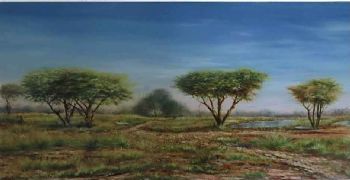 "Landscape of the Bush in Pilanesberg"