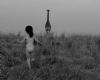 "Run Free"