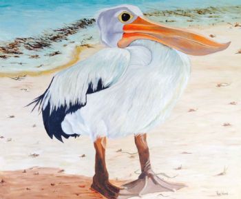 "Pelican"