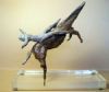 "Equus Izzato"