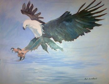 "African Fish Eagle"