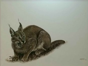 "Caracal"