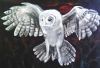 "Owl Over Red Dawn"