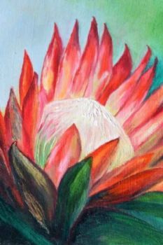 "Protea 1 "