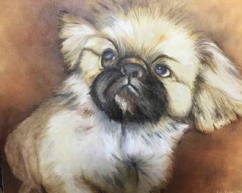 "Pete's Dog"