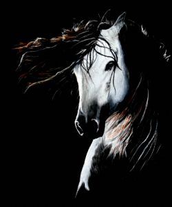 "Horse in  Black and White"