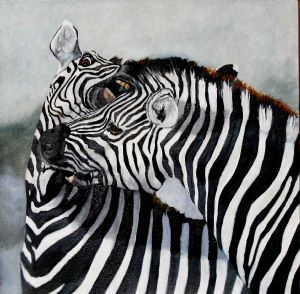 "Fighting Zebras"
