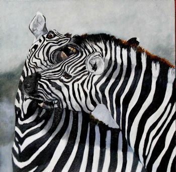 "Fighting Zebras"