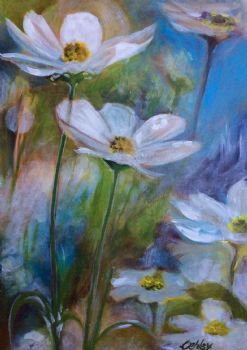 "Daisies "