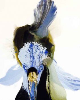 "Indigo Suppression 2"
